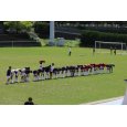 画像5: 2026/05/04 総体中部地区 敗者復活1回戦（vs静岡城北高）●0-3 @草薙球技場 (5)
