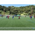 画像1: 2026/08/06 TM(vs相良高校)@相良人工芝G (1)